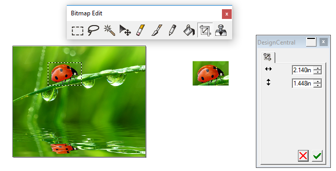 DesignBitmapCropTool.png