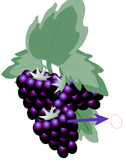 PreviewOff.png