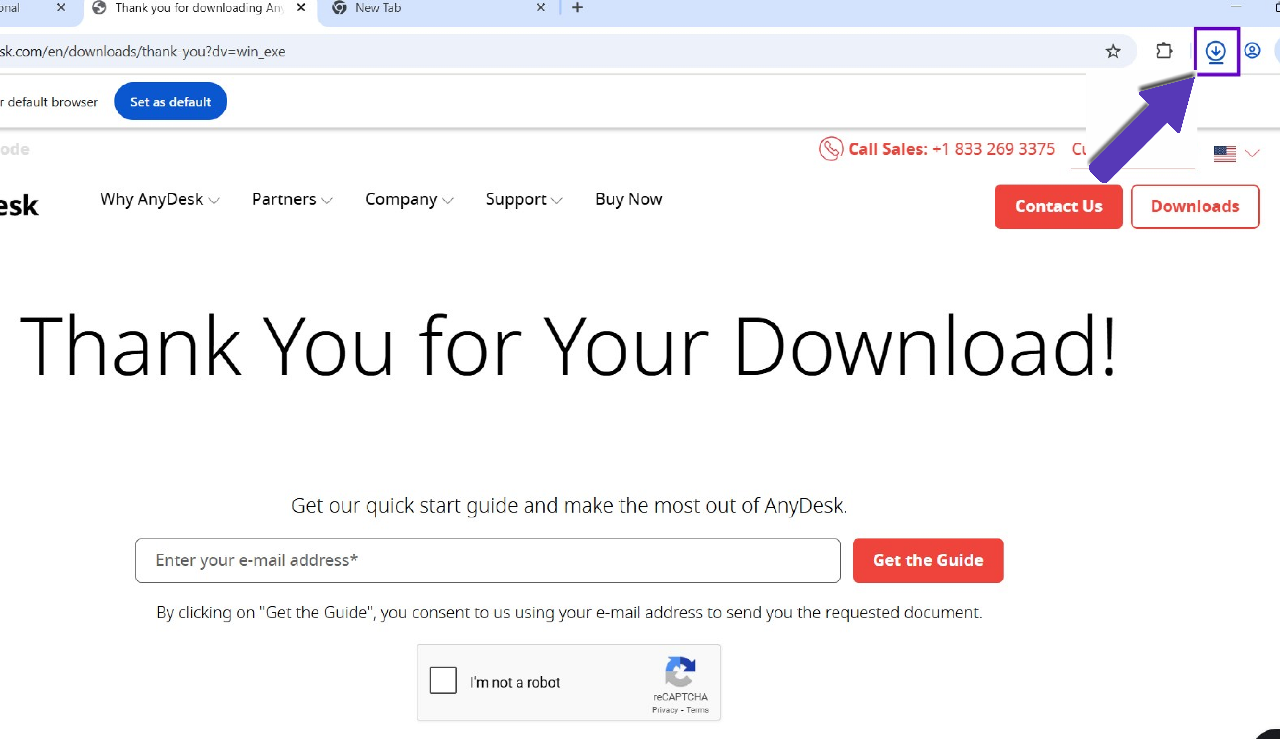 AnyDesk Ch.png