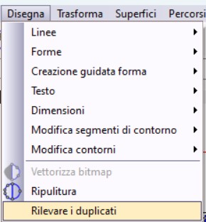It- Duplicate Geo 1.jpg